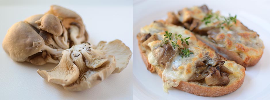 Toast with Mushrooms, Mozzarella & Thyme